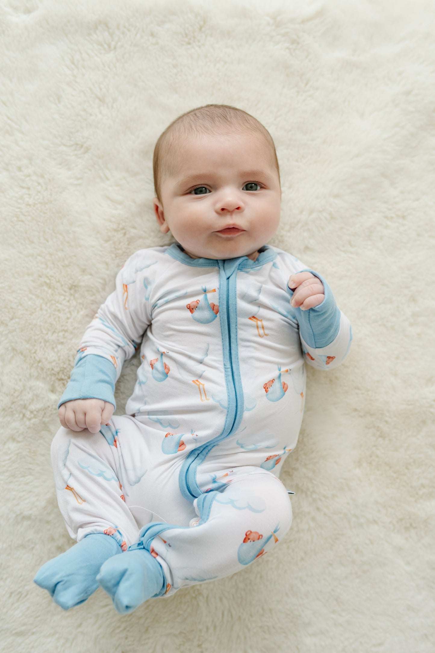 Stork Special Delivery - Zip Up Onesie