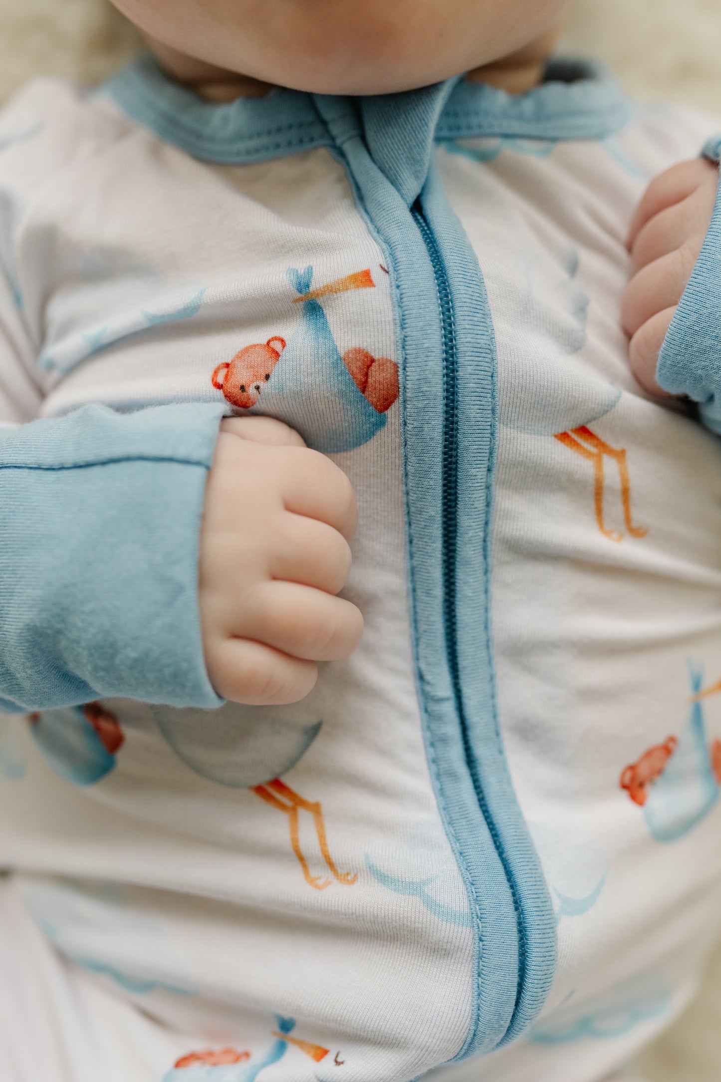 Stork Special Delivery - Zip Up Onesie