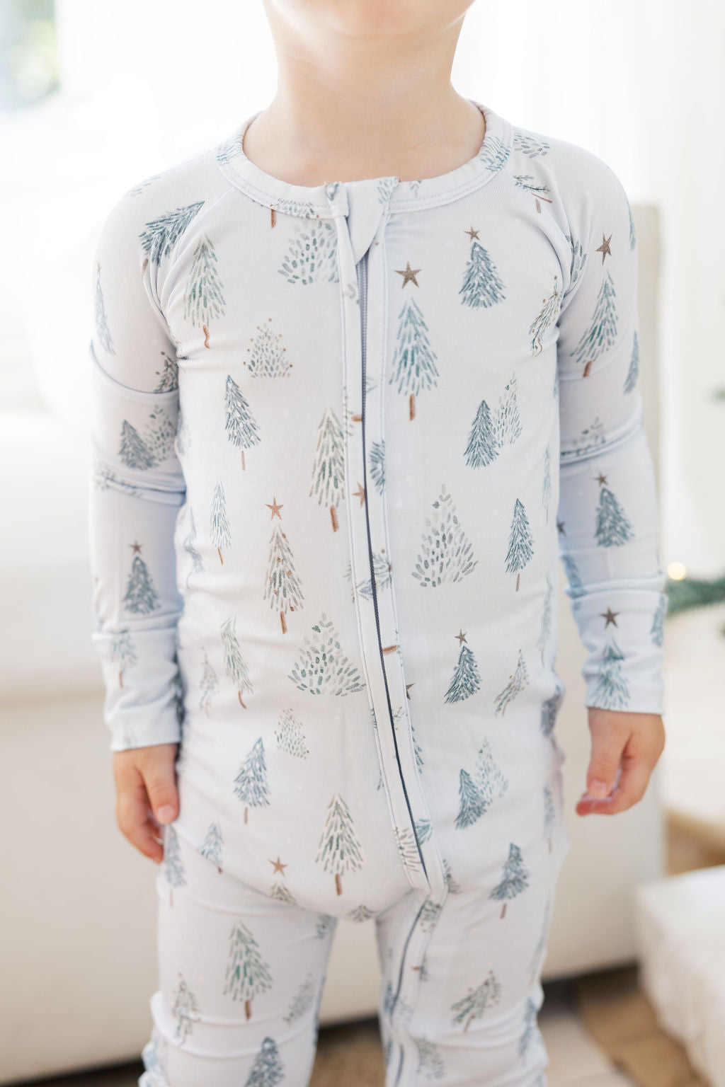 Home for the Holidays- Zip up Footie