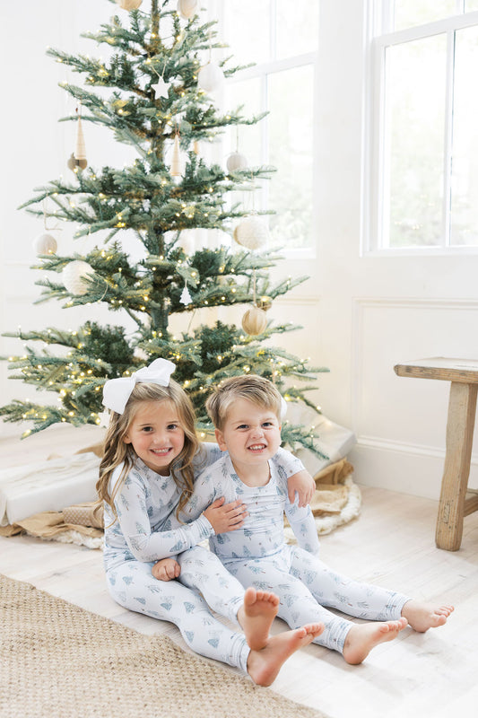 Home for the Holidays- 2 piece set