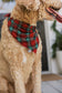 Christmas Classic- Dog Bandana