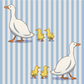 Duckies - Zip Up Footie